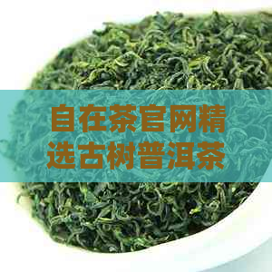 自在茶官网精选古树普洱茶报价与品质详解，生茶与熟茶价格对比及图片展示