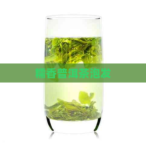 糯香普洱茶泡发