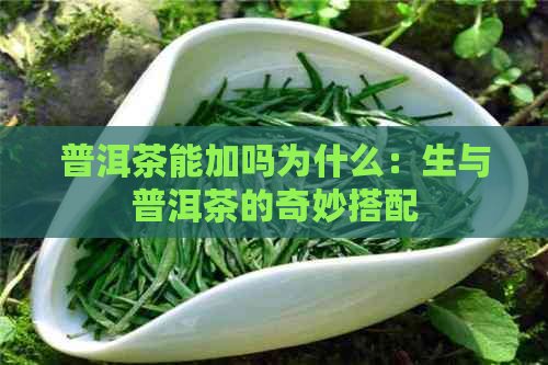 普洱茶能加吗为什么：生与普洱茶的奇妙搭配