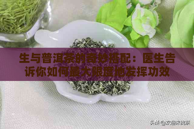 生与普洱茶的奇妙搭配：医生告诉你如何更大限度地发挥功效