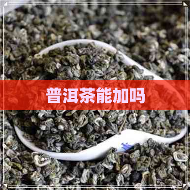 普洱茶能加吗