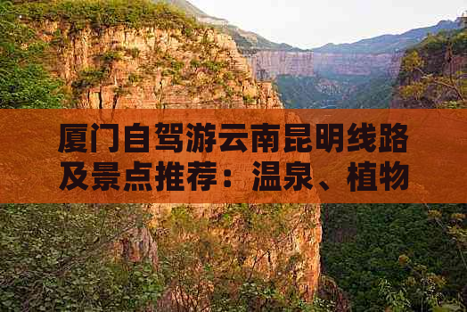 厦门自驾游云南昆明线路及景点推荐：温泉、植物、人文历史全攻略