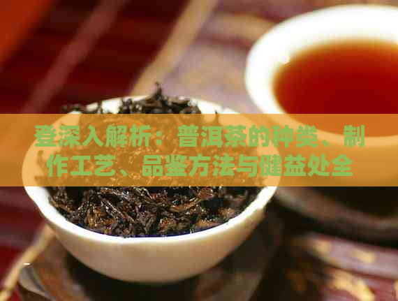 登深入解析：普洱茶的种类、制作工艺、品鉴方法与健益处全解