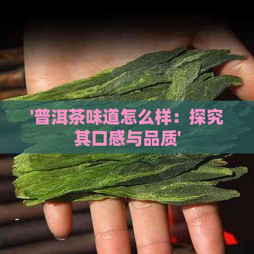 '普洱茶味道怎么样：探究其口感与品质'