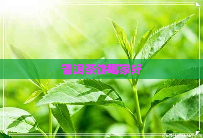 普洱茶饼哪家好