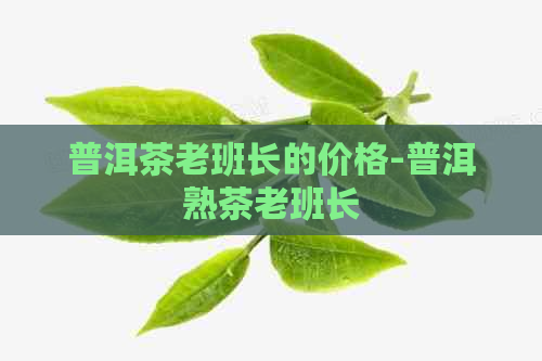 普洱茶老班长的价格-普洱熟茶老班长