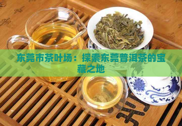 东莞市茶叶场：探索东莞普洱茶的宝藏之地