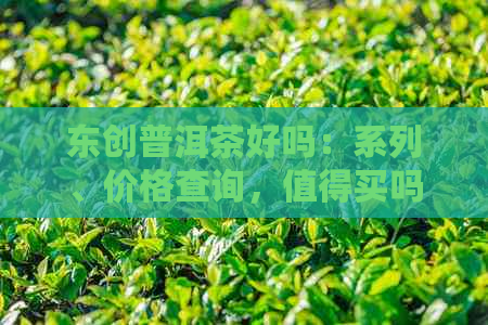 东创普洱茶好吗：系列、价格查询，值得买吗？怎么样？