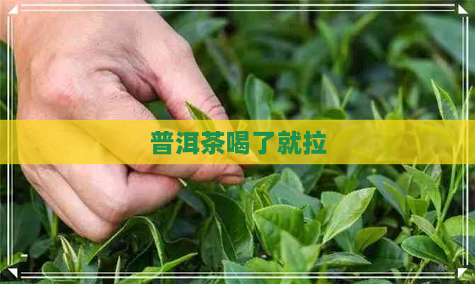 普洱茶喝了就拉