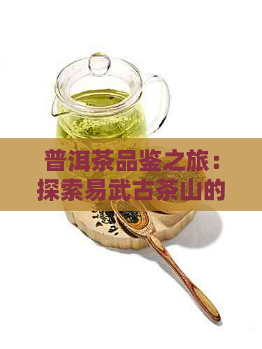 普洱茶品鉴之旅：探索易武古茶山的魅力与文化，与好友共享美好时光