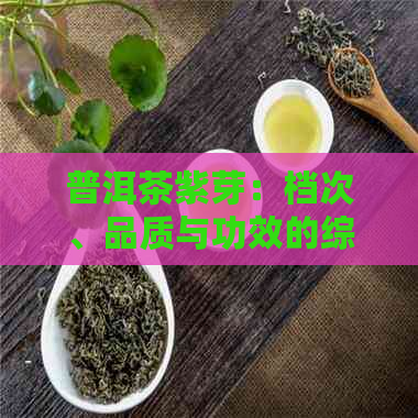 普洱茶紫芽：档次、品质与功效的综合解读与比较