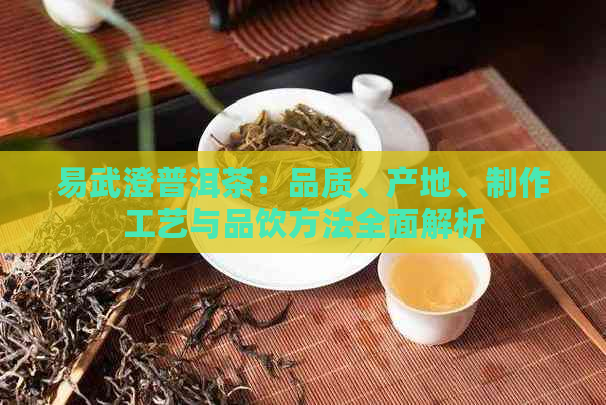 易武澄普洱茶：品质、产地、制作工艺与品饮方法全面解析