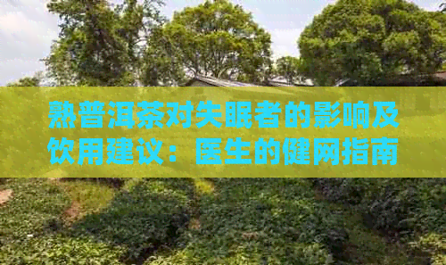 熟普洱茶对失眠者的影响及饮用建议：医生的健网指南