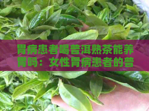 胃病患者喝普洱熟茶能养胃吗：女性胃病患者的普洱茶选择和生活调整