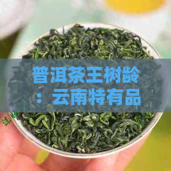 普洱茶王树龄：云南特有品种的珍贵茶树介绍