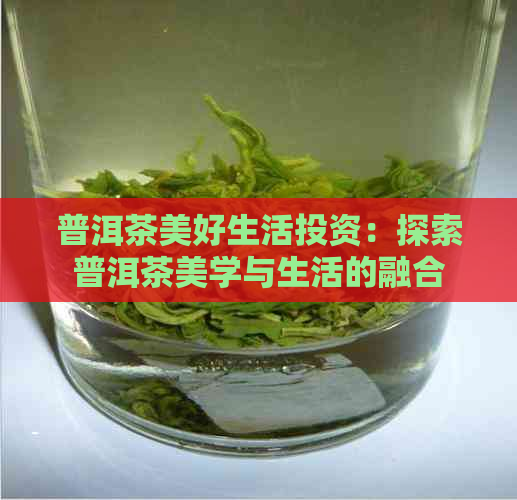 普洱茶美好生活投资：探索普洱茶美学与生活的融合