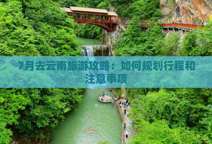 7月去云南旅游攻略：如何规划行程和注意事项