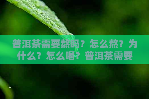 普洱茶需要熬吗？怎么熬？为什么？怎么喝？普洱茶需要煮吗？用不用煮着喝？