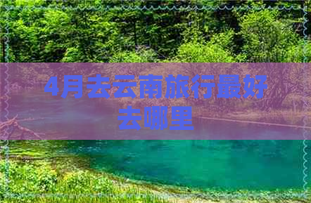 4月去云南旅行更好去哪里