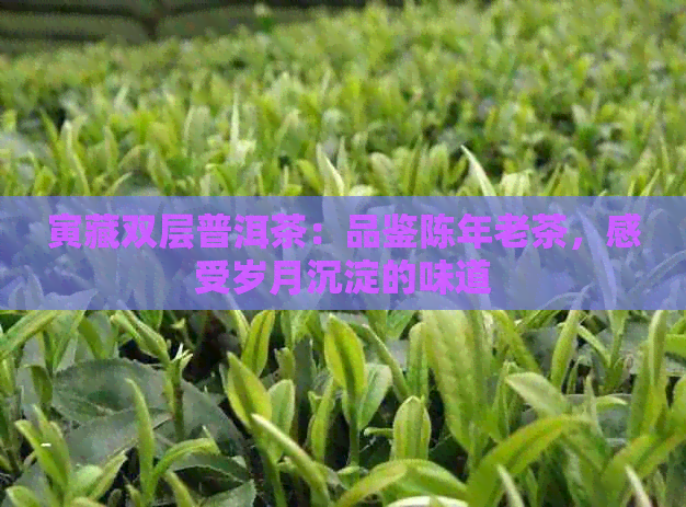 寅藏双层普洱茶：品鉴陈年老茶，感受岁月沉淀的味道