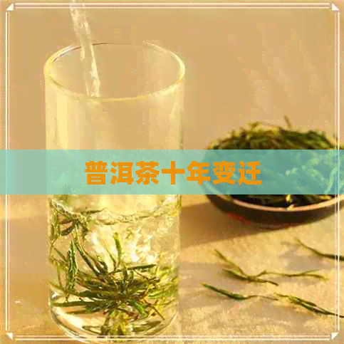 普洱茶十年变迁