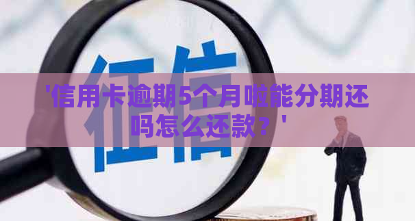 '信用卡逾期5个月啦能分期还吗怎么还款？'