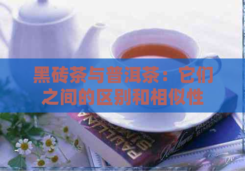 黑砖茶与普洱茶：它们之间的区别和相似性