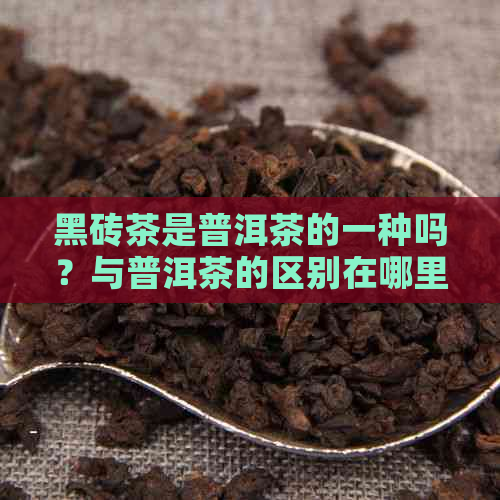 黑砖茶是普洱茶的一种吗？与普洱茶的区别在哪里？