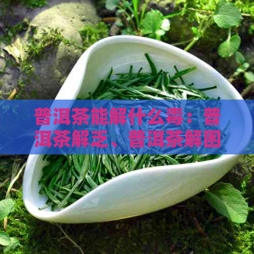 普洱茶能解什么：普洱茶解乏、普洱茶解困、普洱茶解。