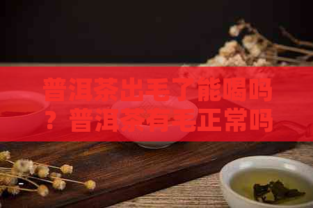 普洱茶出毛了能喝吗？普洱茶有毛正常吗？百度百科。