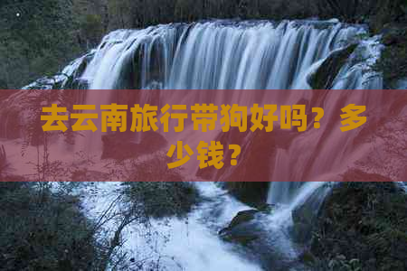 去云南旅行带狗好吗？多少钱？