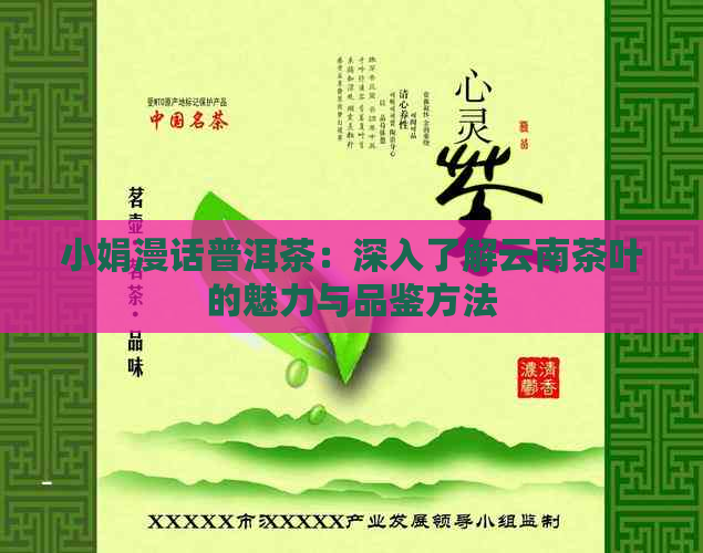 小娟漫话普洱茶：深入了解云南茶叶的魅力与品鉴方法