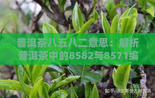 普洱茶八五八二意思：解析普洱茶中的8582与8571编号含义