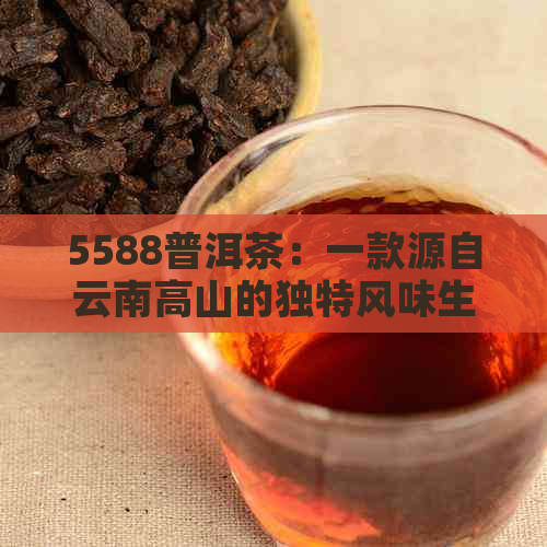 5588普洱茶：一款源自云南高山的独特风味生茶，品味与品质的完美结合