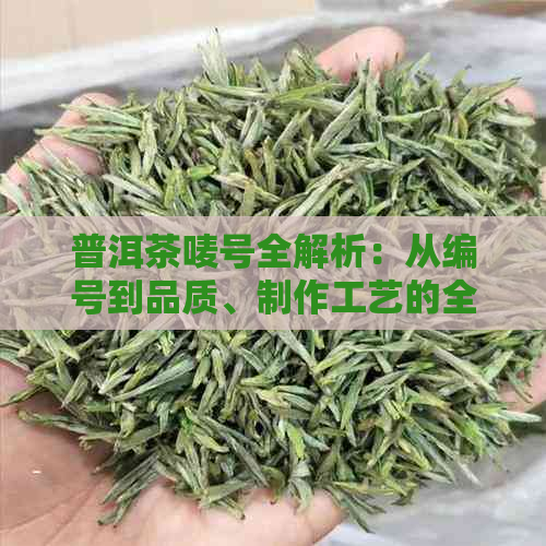 普洱茶唛号全解析：从编号到品质、制作工艺的全方位了解