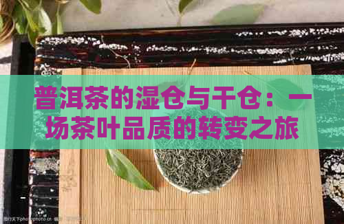 普洱茶的湿仓与干仓：一场茶叶品质的转变之旅