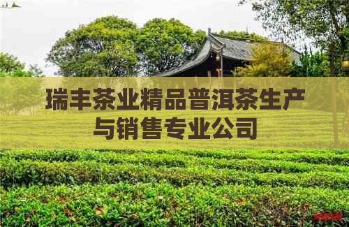 瑞丰茶业精品普洱茶生产与销售专业公司