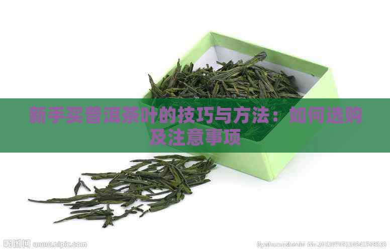 新手买普洱茶叶的技巧与方法：如何选购及注意事项