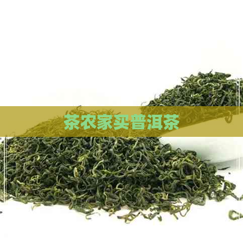 茶农家买普洱茶