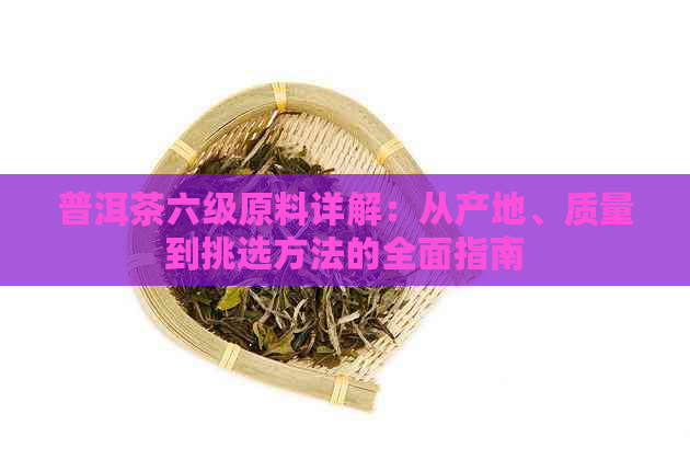 普洱茶六级原料详解：从产地、质量到挑选方法的全面指南