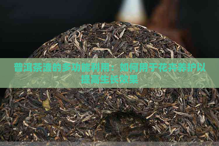 普洱茶渣的多功能利用：如何用于花卉养护以提高生长效果