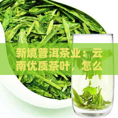 新境普洱茶业：云南优质茶叶，怎么样？