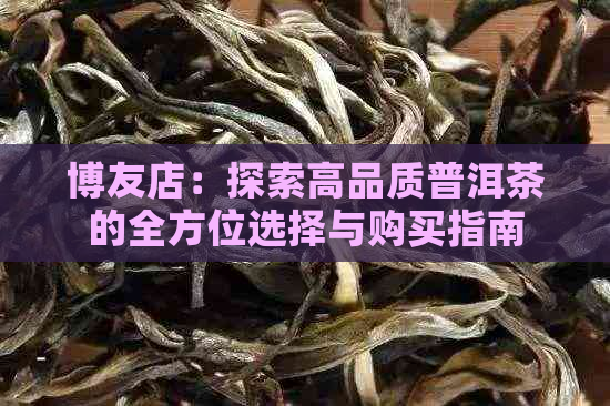 博友店：探索高品质普洱茶的全方位选择与购买指南