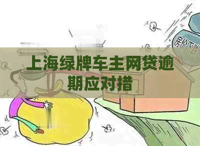 上海绿牌车主网贷逾期应对措