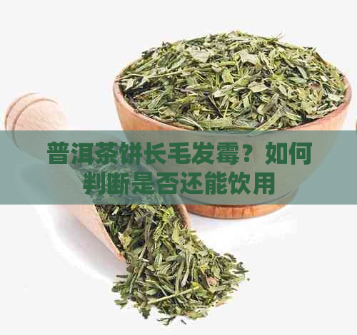 普洱茶饼长毛发霉？如何判断是否还能饮用