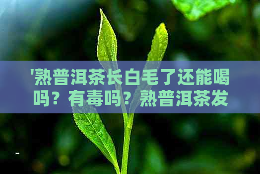 '熟普洱茶长白毛了还能喝吗？有吗？熟普洱茶发霉长白毛还能喝吗？'