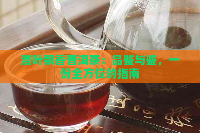 漫叶飘香普洱茶：品鉴与鉴，一份全方位的指南