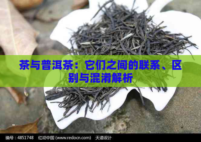 茶与普洱茶：它们之间的联系、区别与混淆解析