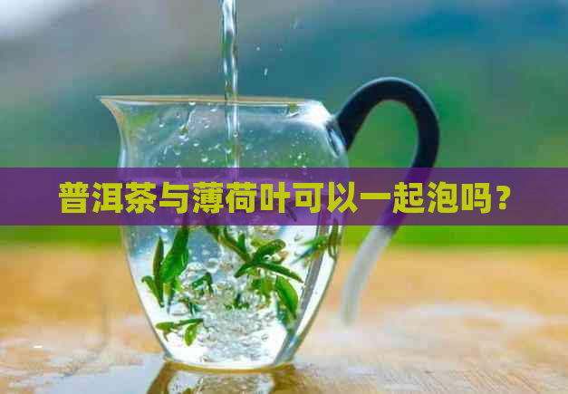 普洱茶与薄荷叶可以一起泡吗？