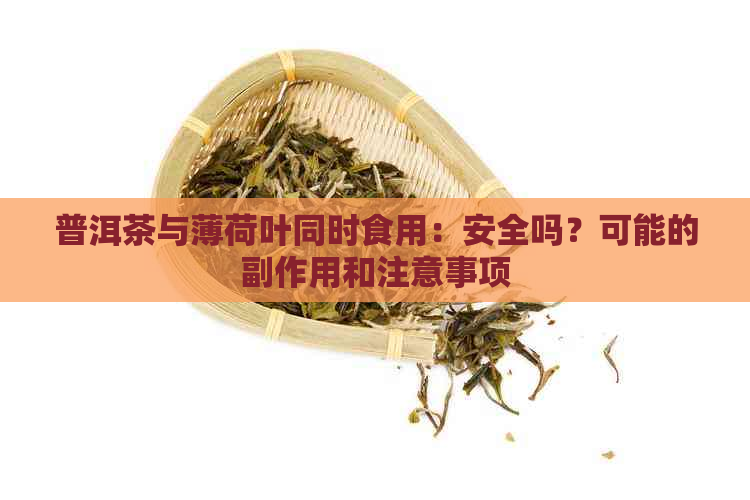 普洱茶与薄荷叶同时食用：安全吗？可能的副作用和注意事项